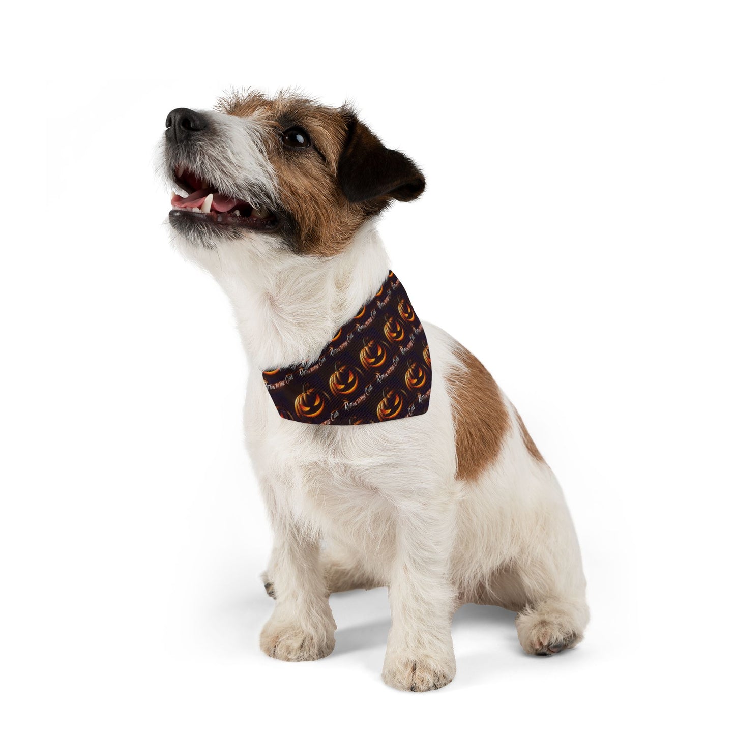 Trick or Treat Pet Bandana Collar, Halloween Dog Accessory, Pet Costume, Spooky Pet Wear, Fun Dog Apparel, Holiday Dog Fashion