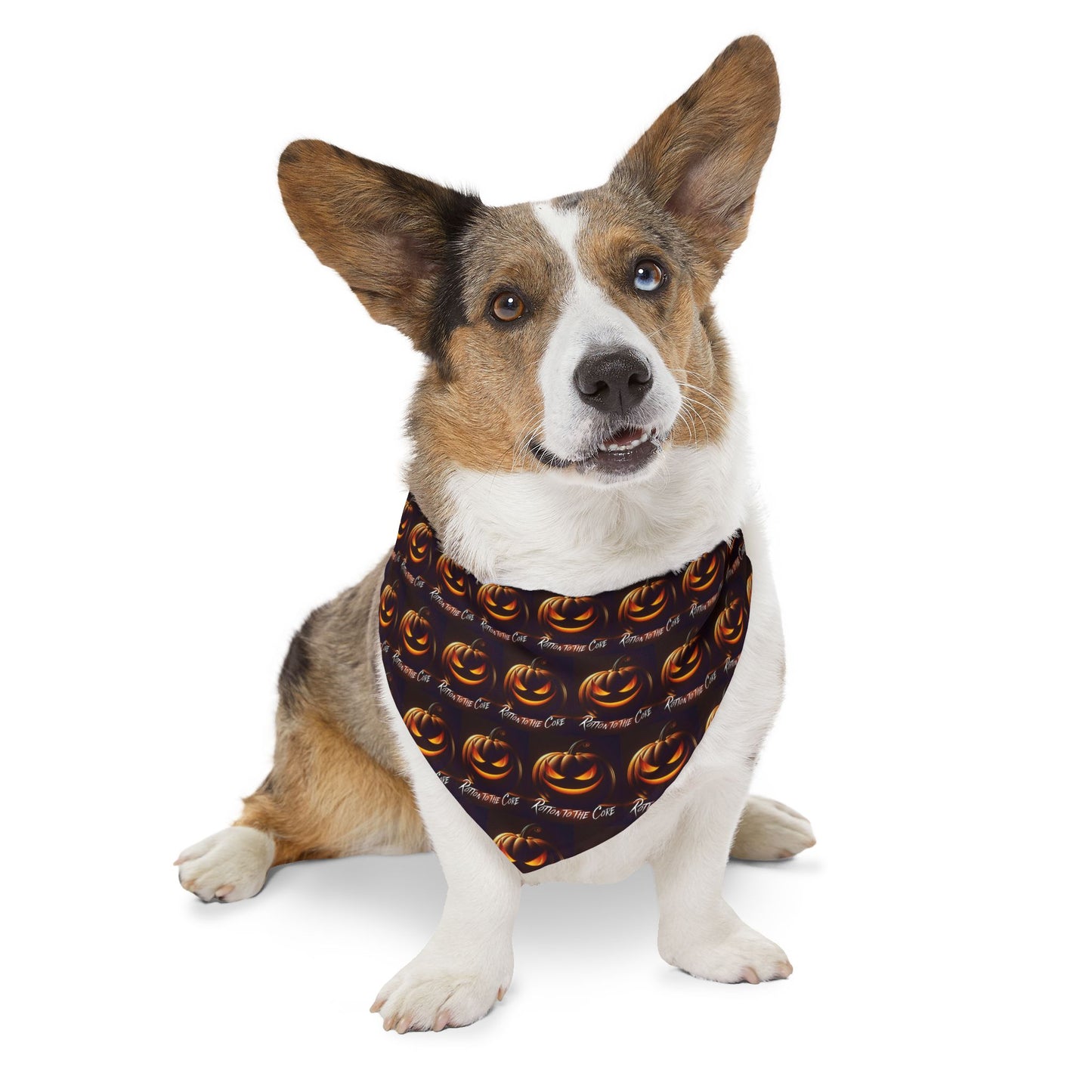 Trick or Treat Pet Bandana Collar, Halloween Dog Accessory, Pet Costume, Spooky Pet Wear, Fun Dog Apparel, Holiday Dog Fashion