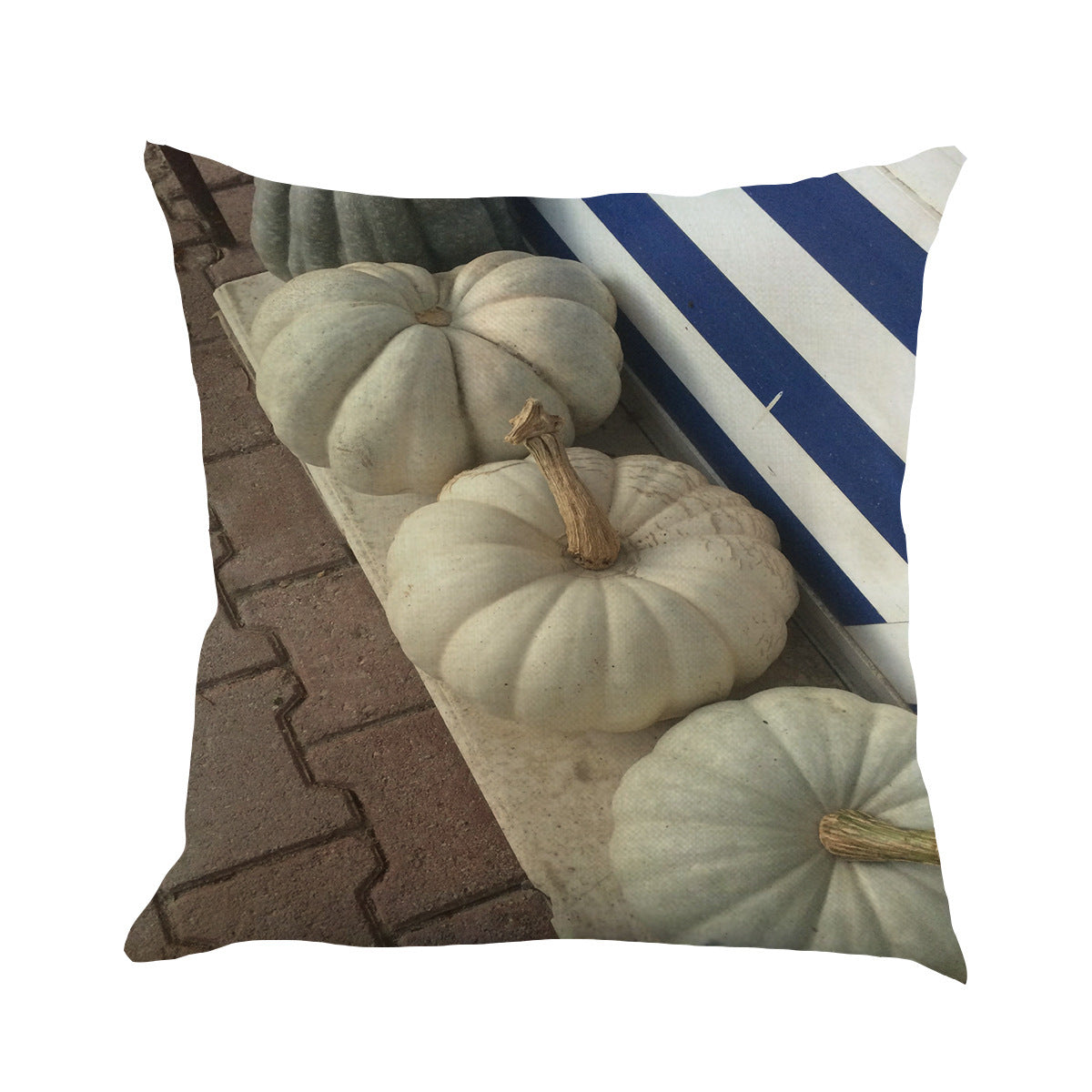 Fall Cushion, Pillow Case