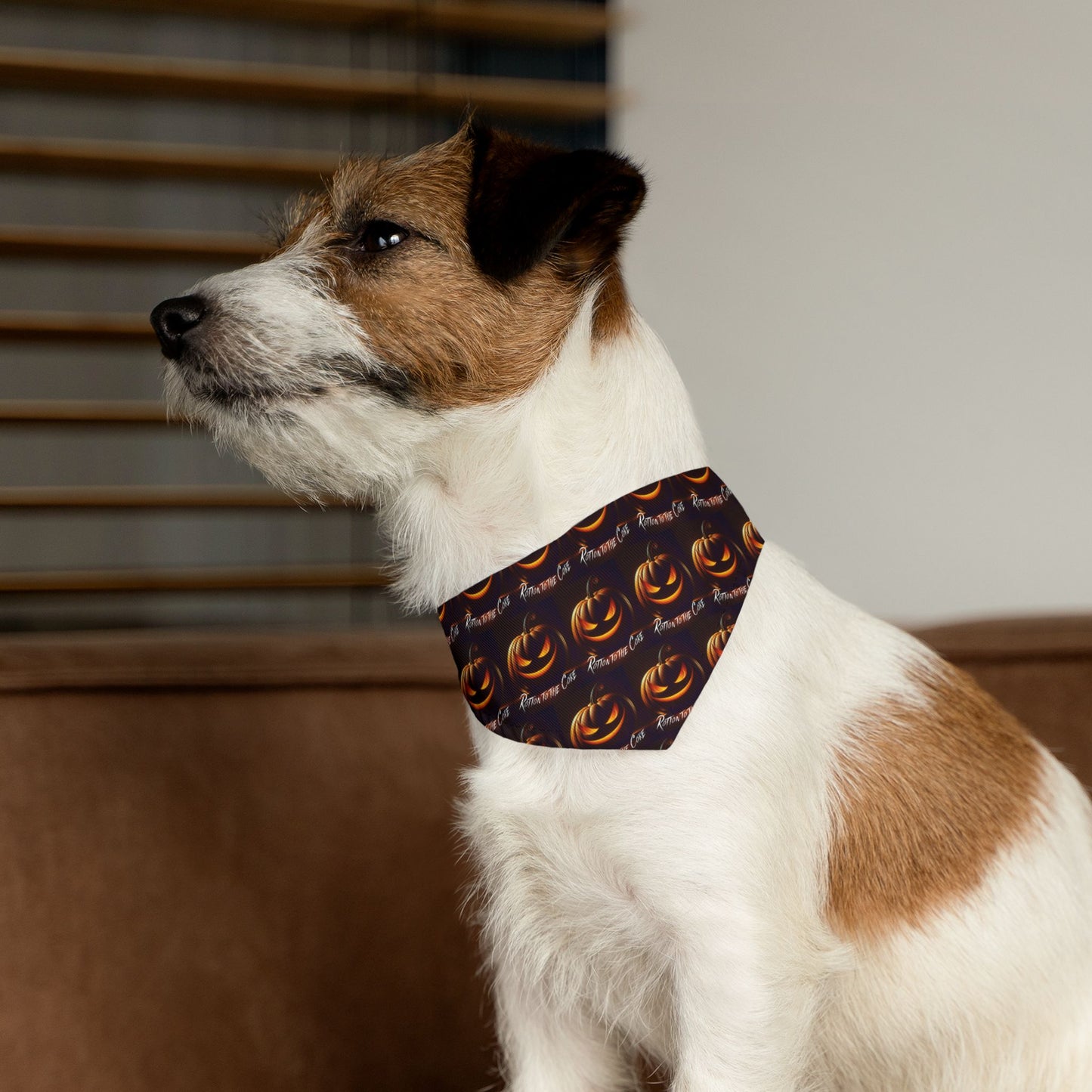 Trick or Treat Pet Bandana Collar, Halloween Dog Accessory, Pet Costume, Spooky Pet Wear, Fun Dog Apparel, Holiday Dog Fashion
