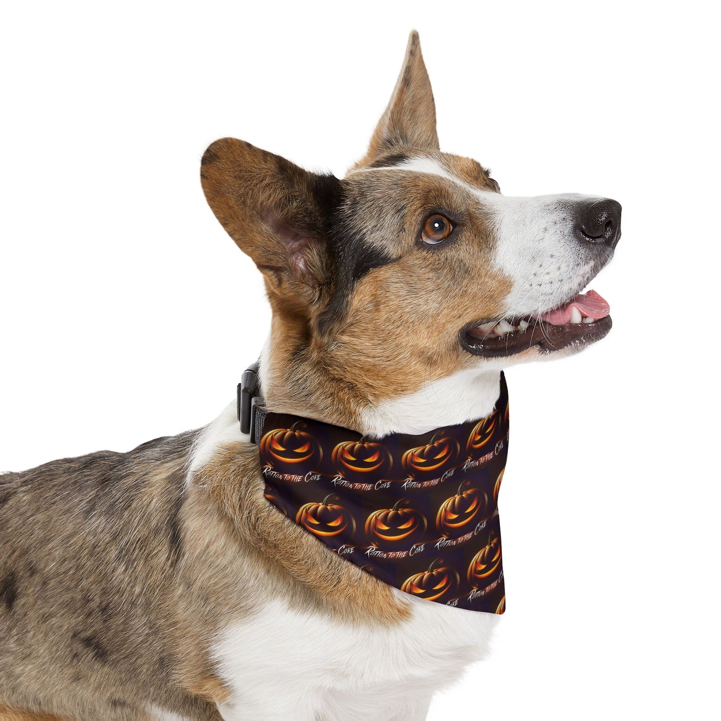 Trick or Treat Pet Bandana Collar, Halloween Dog Accessory, Pet Costume, Spooky Pet Wear, Fun Dog Apparel, Holiday Dog Fashion