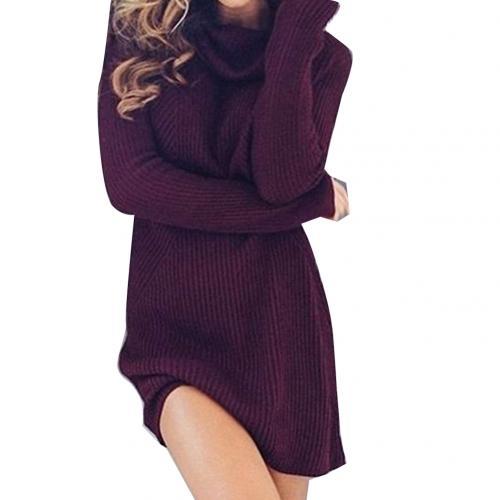 NEW Winter sweaters women turtlene shirt knit dress