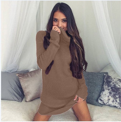NEW Winter sweaters women turtlene shirt knit dress